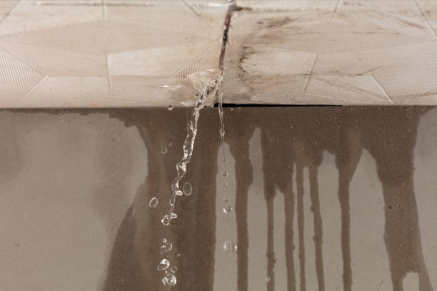 Professional Flood Damage Cleanup technician working in Millbrook, IL